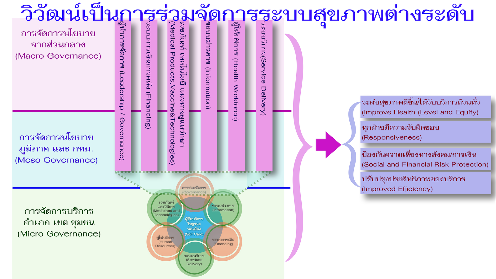 การร่วมจัดการระบบสุขภาพต่างระดับ